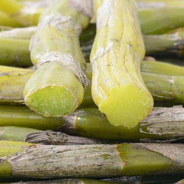 这些天然“雌激素”食物女人要多吃! 排毒养颜更显年轻漂亮