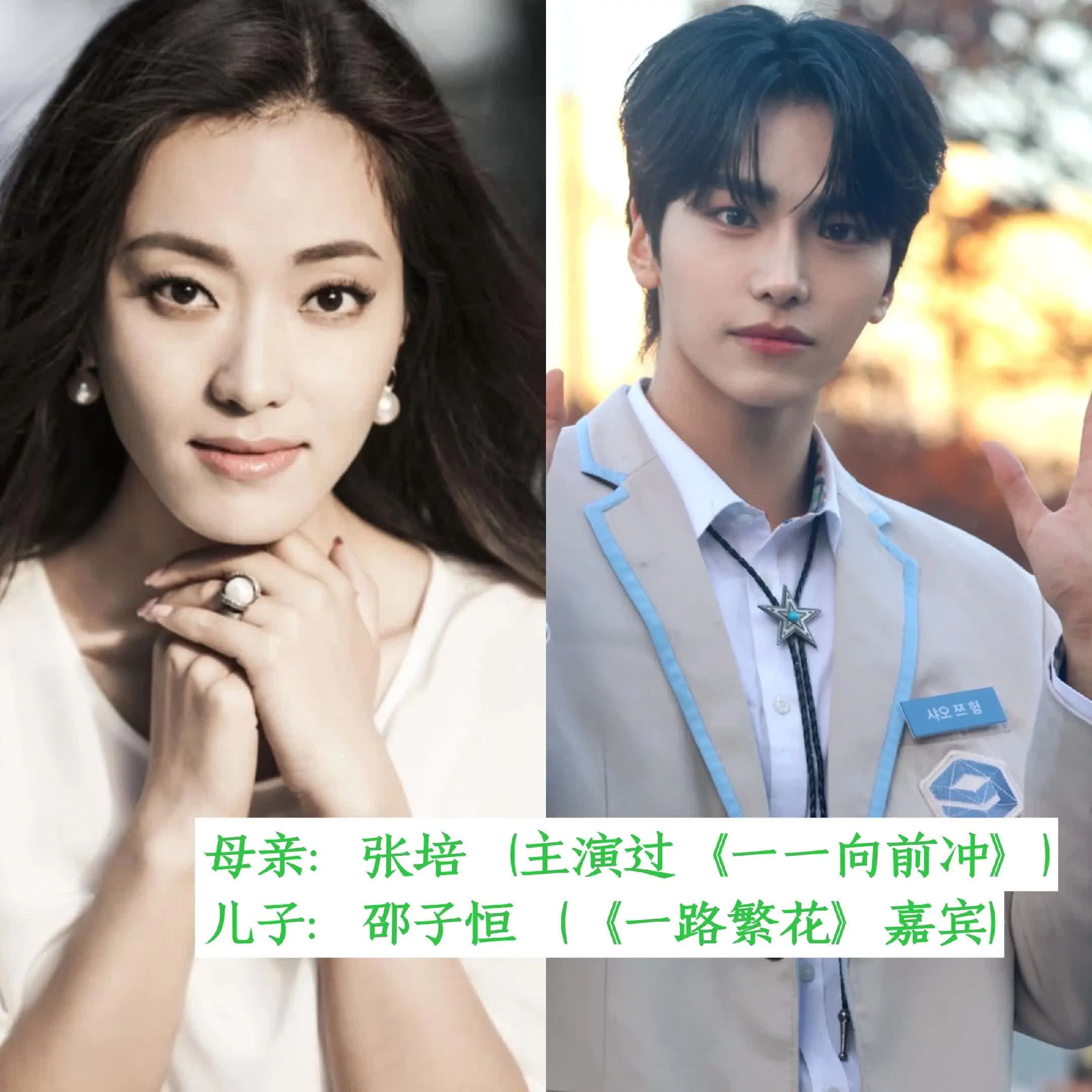 几组是哈哈你喜欢的明星吗母子，哪一组基因强大！母子同框图文种草机