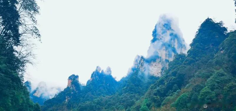 七律·游张家界腾云驾雾九霄游，怪石奇峰脚下流。鬼斧神工仙境在，奇崖绝壁匠心牛