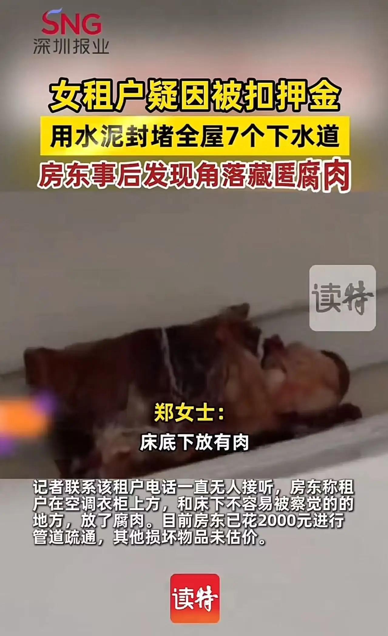 女租客因为被房东扣押金，用水泥封堵全屋7个下水道，还在房间隐秘角落放腐肉，让房间