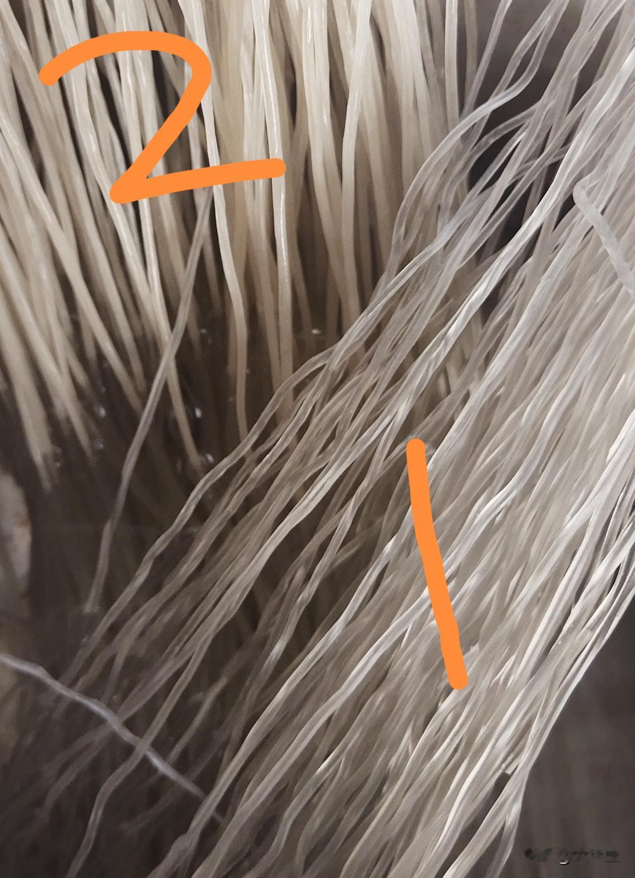 买了两种粉条，一种是菜市场干货店的纯红薯粉条，一种是大型商超买的纯红薯粉条，