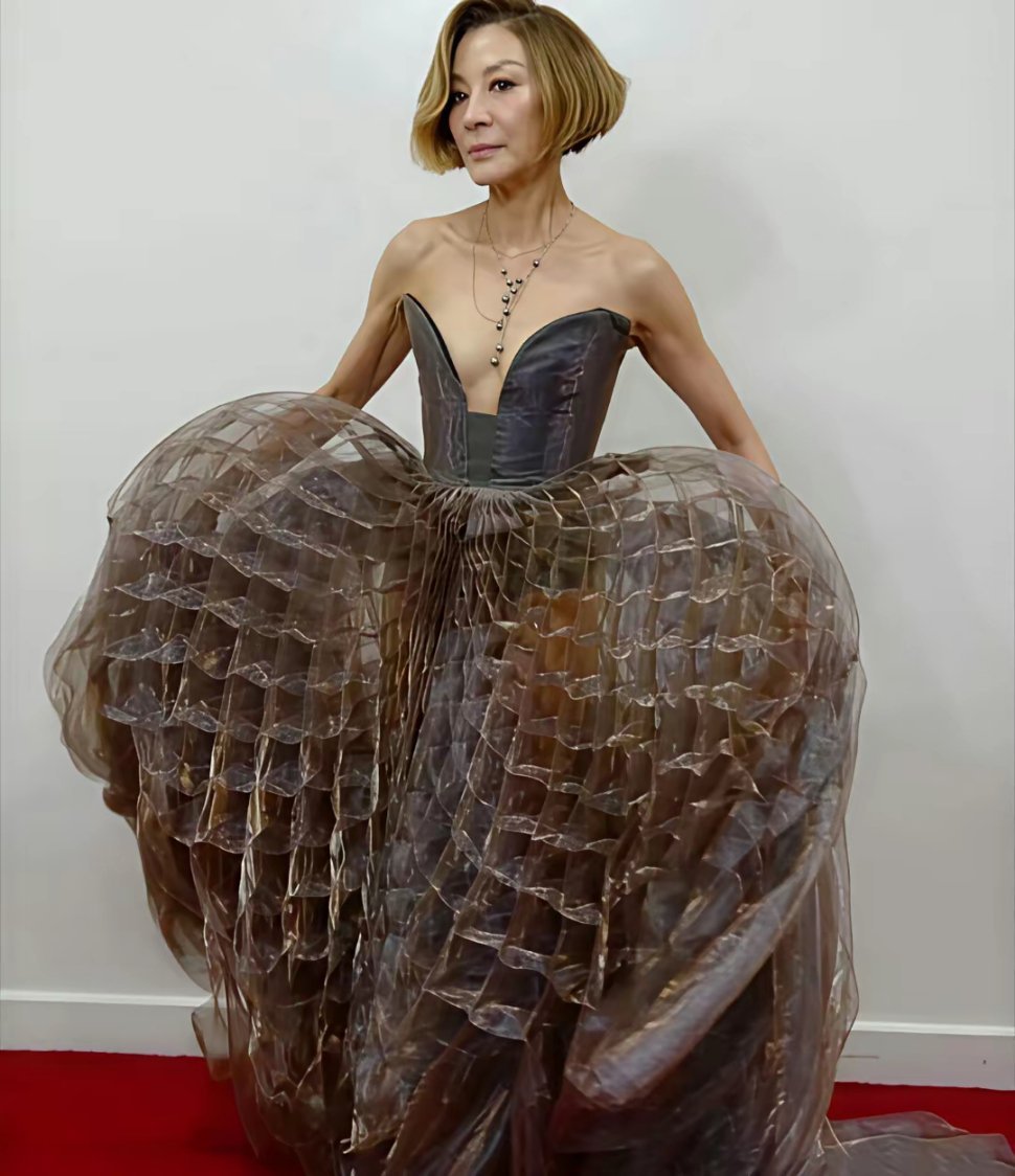 杨紫琼这套礼服不知道怎么评价，看得我想吃火锅了！