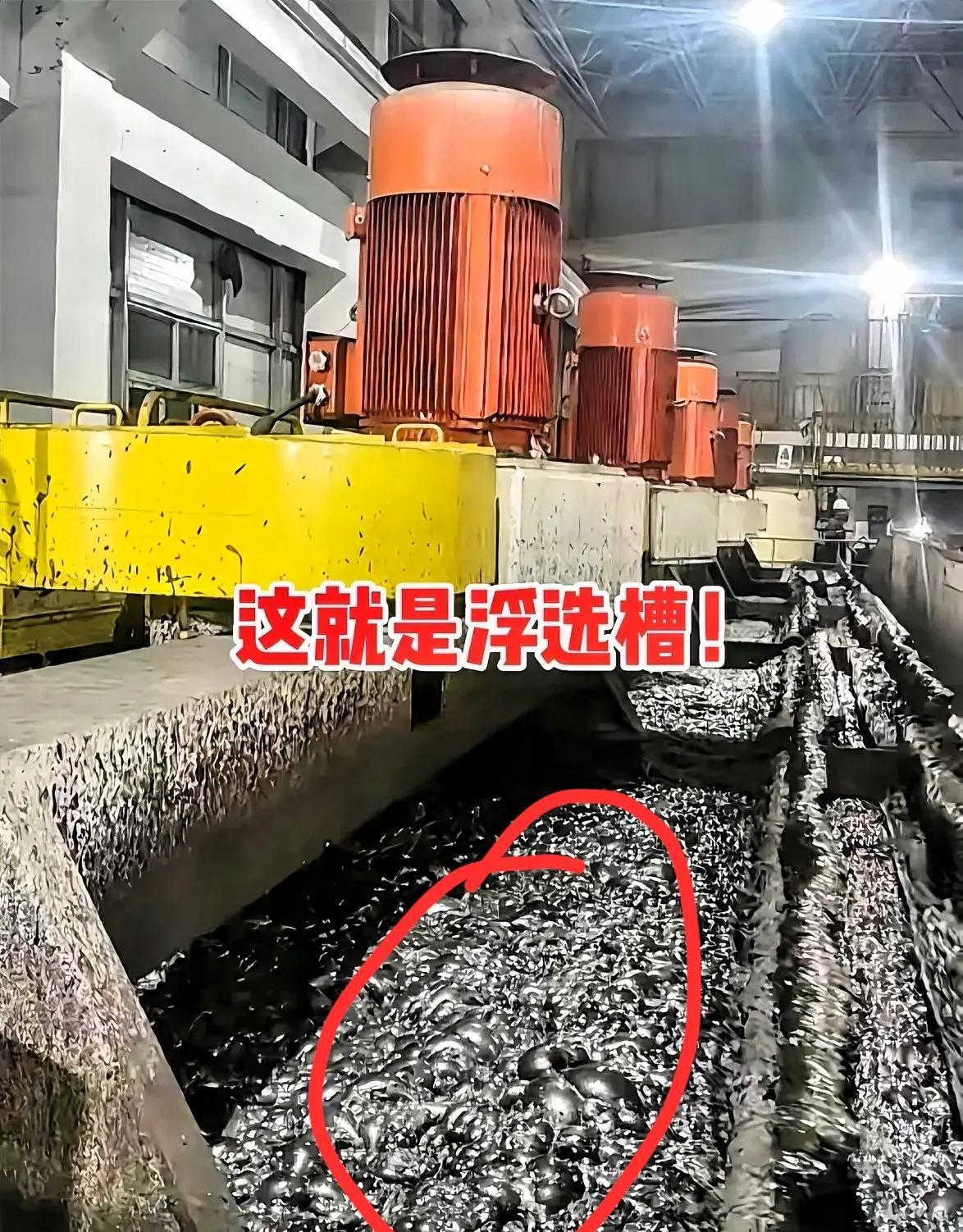 说掉进浮选槽的学生“不会游”，简直是没常识到离谱。那槽里哪是普通水？40到6