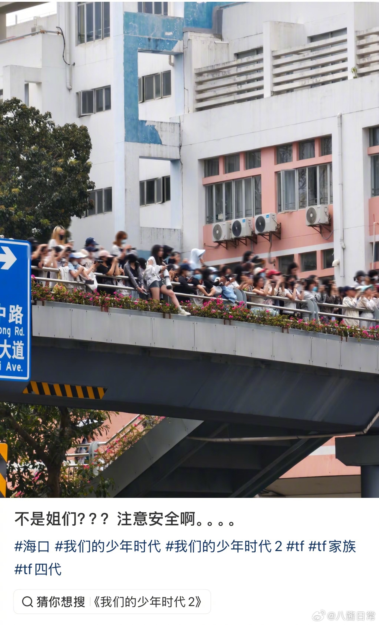 当地文旅要吓晕了