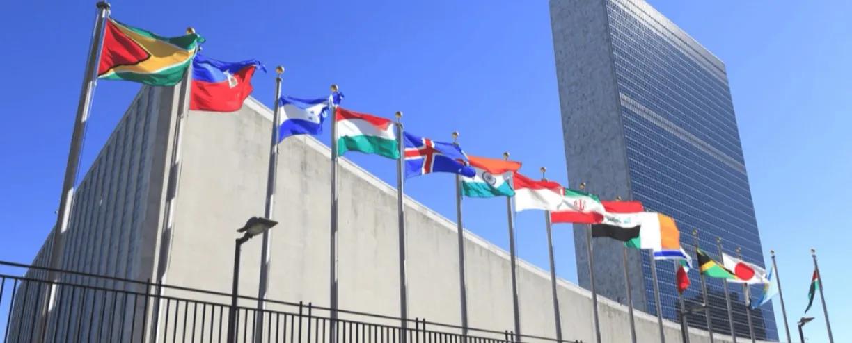 联合国安理会常任理事国改革要换思路：先减一个，绝不扩员你支持安理会常任