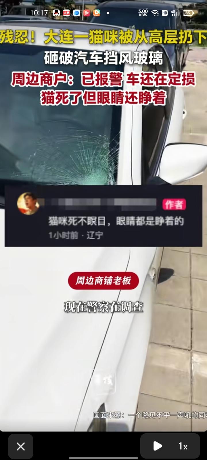 5月25日，辽宁大连。网友发视频称，小区里有人把猫咪从高层扔下，砸破汽车的挡风玻