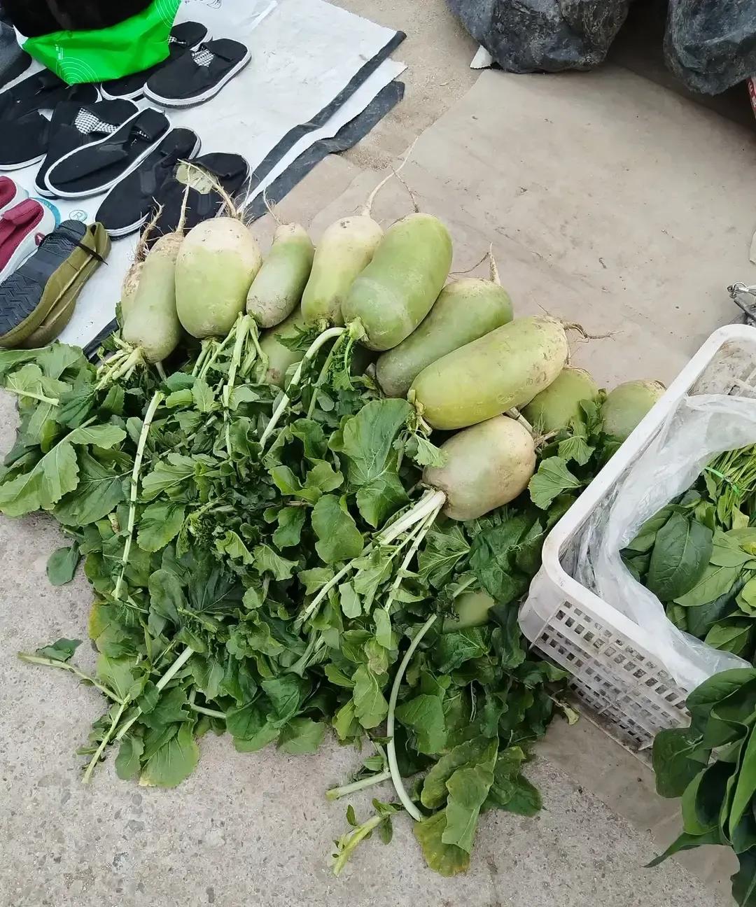 菠菜一斤三块多，蒜苗也三块，连白萝卜都快一块钱，菜篮子拎起来直压手。老家人说地