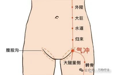 元气不足，拍打这个“气街穴”就补了原创 卢会峰 说起“元气”，很多人脑海