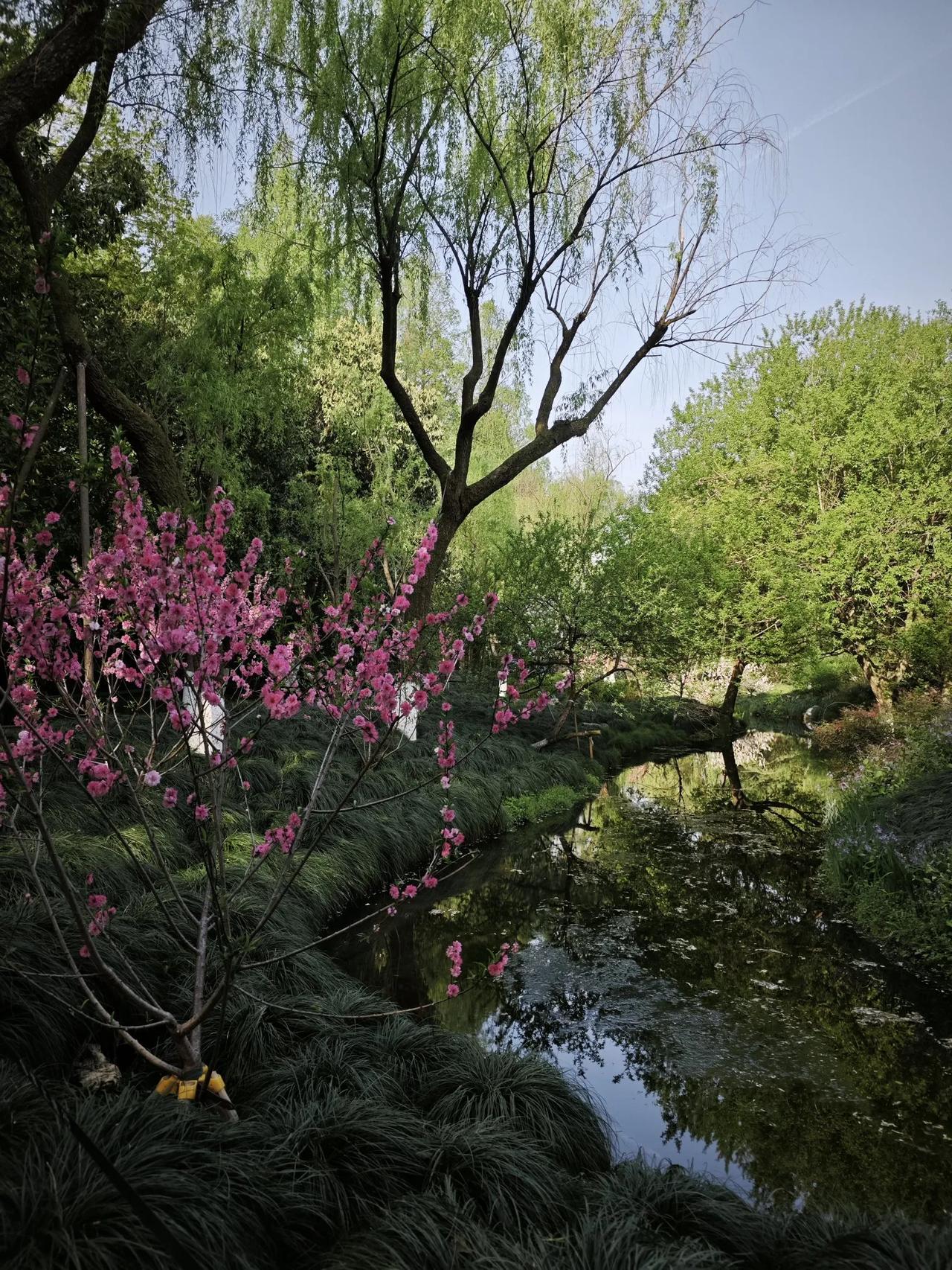 兰州来杭州，走进柳浪闻莺，未见西湖，人已神魂颠倒。自由行的最大好处就是一切