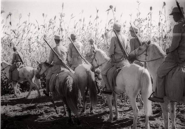 1939年2月，彭雪枫为度过春荒难关，忍痛卖掉13匹战马来买粮食，但令人万万没有