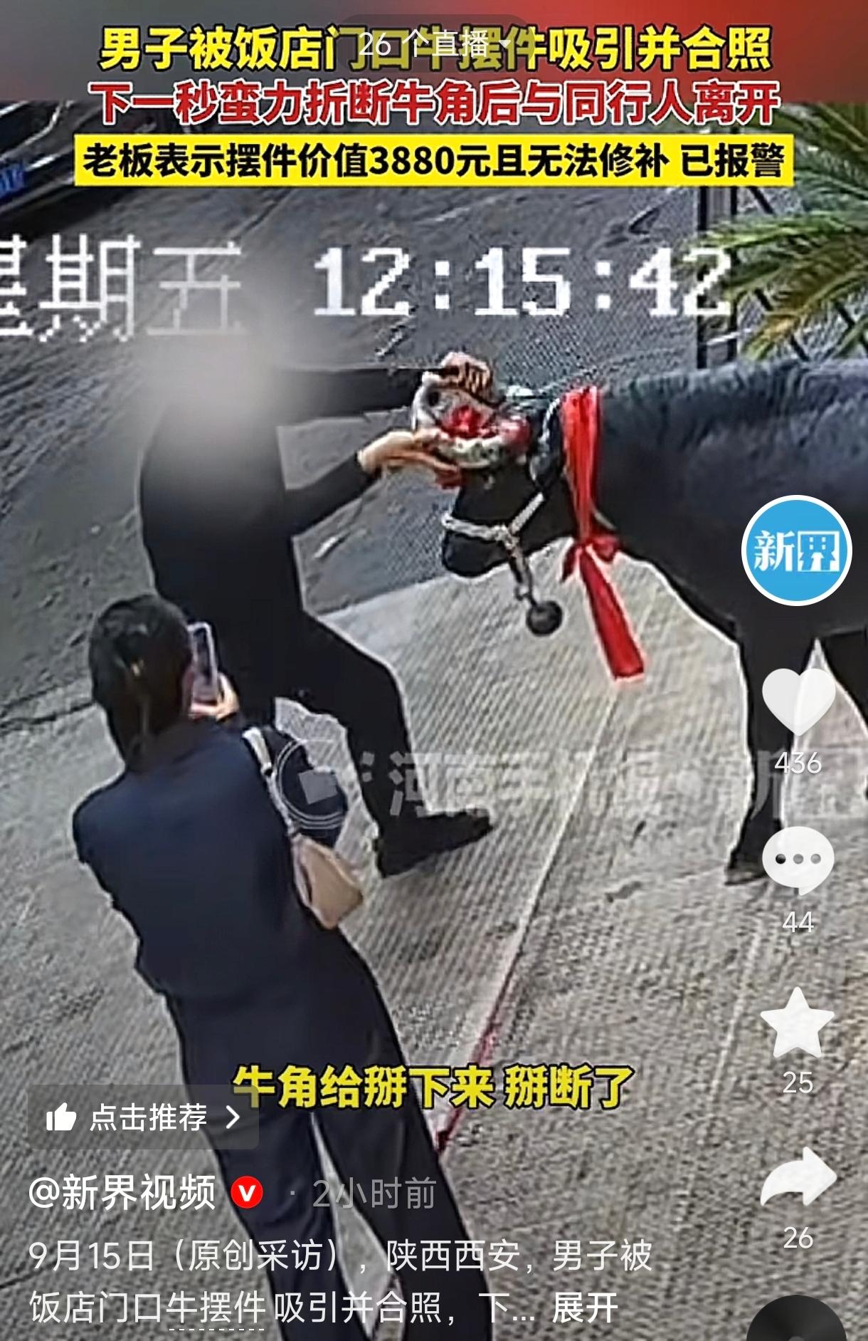陕西西安，一男子和朋友路过一家饭店，被饭店门口牛摆件吸引，就停下来和牛合影，然而