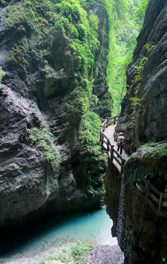 周末到啦！重庆的车友们看过来，推荐两条自驾游宝藏路线～小能周末漫游计划1️⃣【重