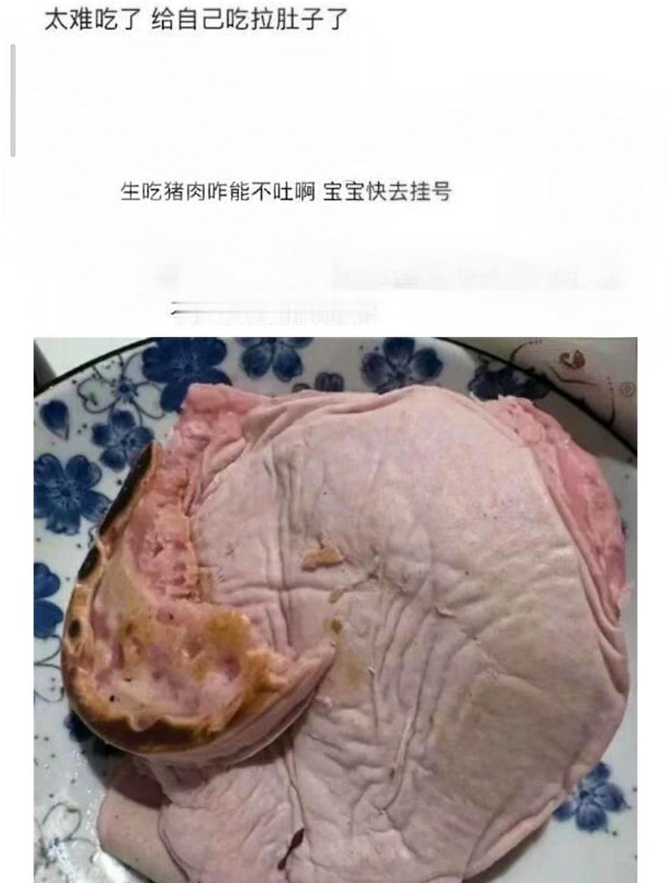 这是你做的饼啊？真不是猪肉吗