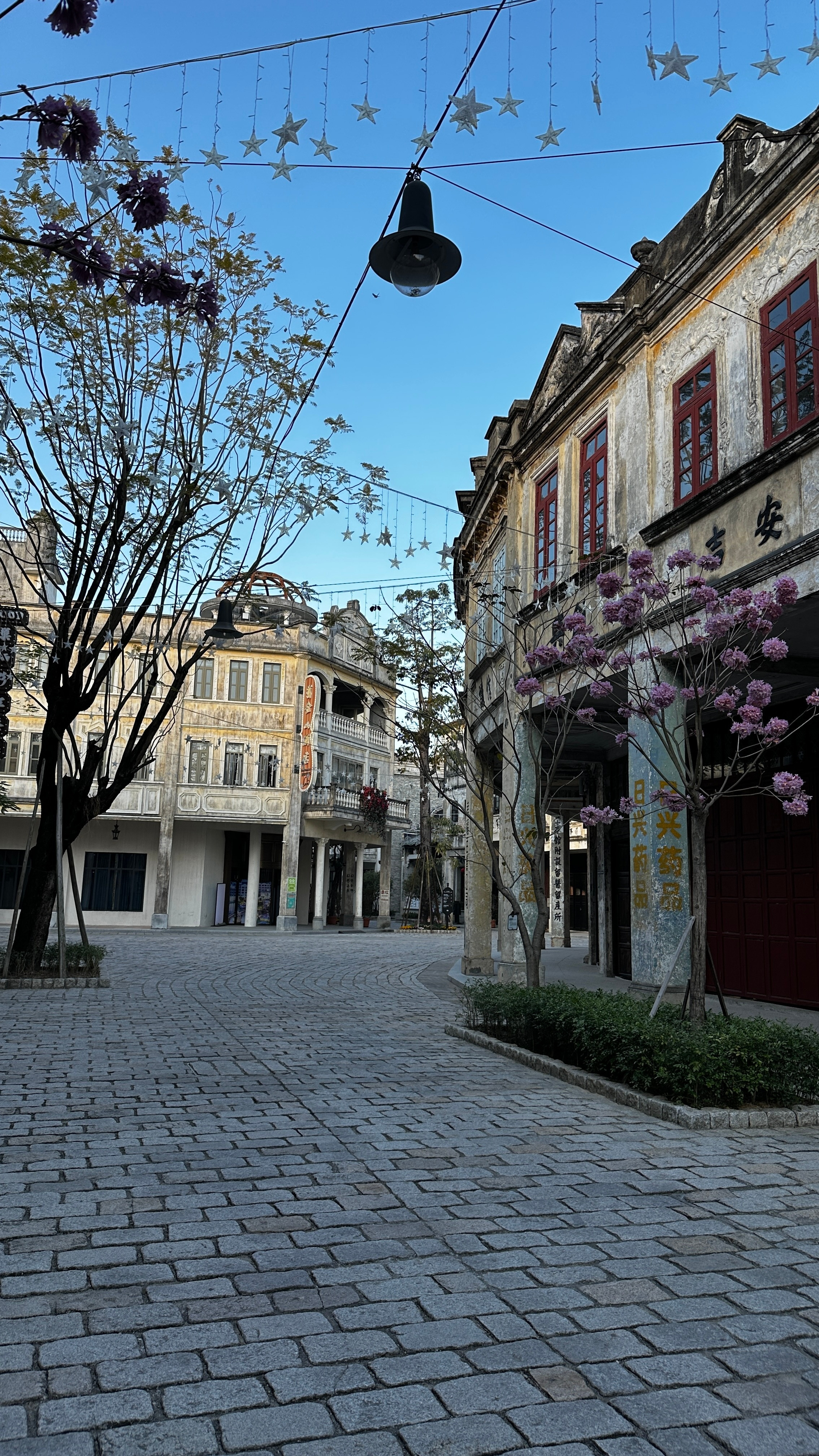 一条plog告别2025我的2025是被谭松韵给包围的，从1月的方婉之到5月的