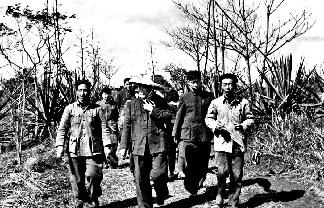 1956年，敬爱的朱老总前往海南视察，前往海口罐头厂走访。在厂区，朱老总去到工人