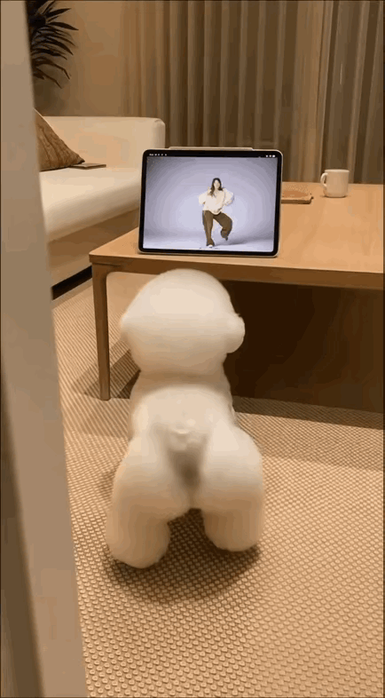 家人们谁懂啊！我家狗偷偷练舞被我抓包了，这屁股扭得比我还丝滑！小狗跳舞人类幼崽