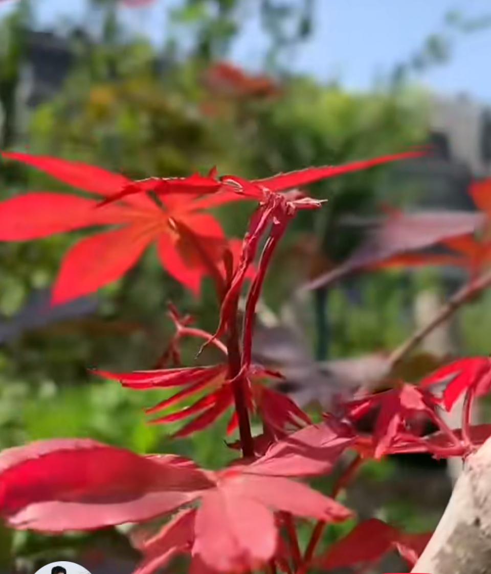 2026年房地产态势最新预测来了！大家都很关心，经历了四年低迷的房地产市场，