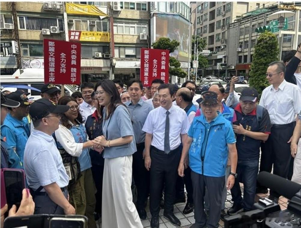 郑丽文今携1320万完成登记，日子特选9.18，痛批徐国勇吃香喝辣还背叛台湾民众