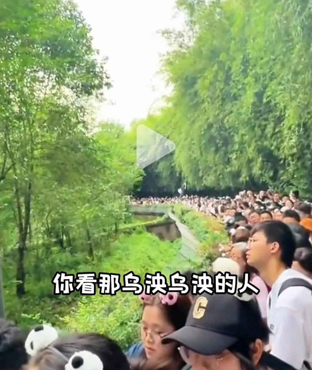 五一假期关凌携家人出游都江堰，感慨景区人山人海，观光车排队漫长，一家人索性步行赏