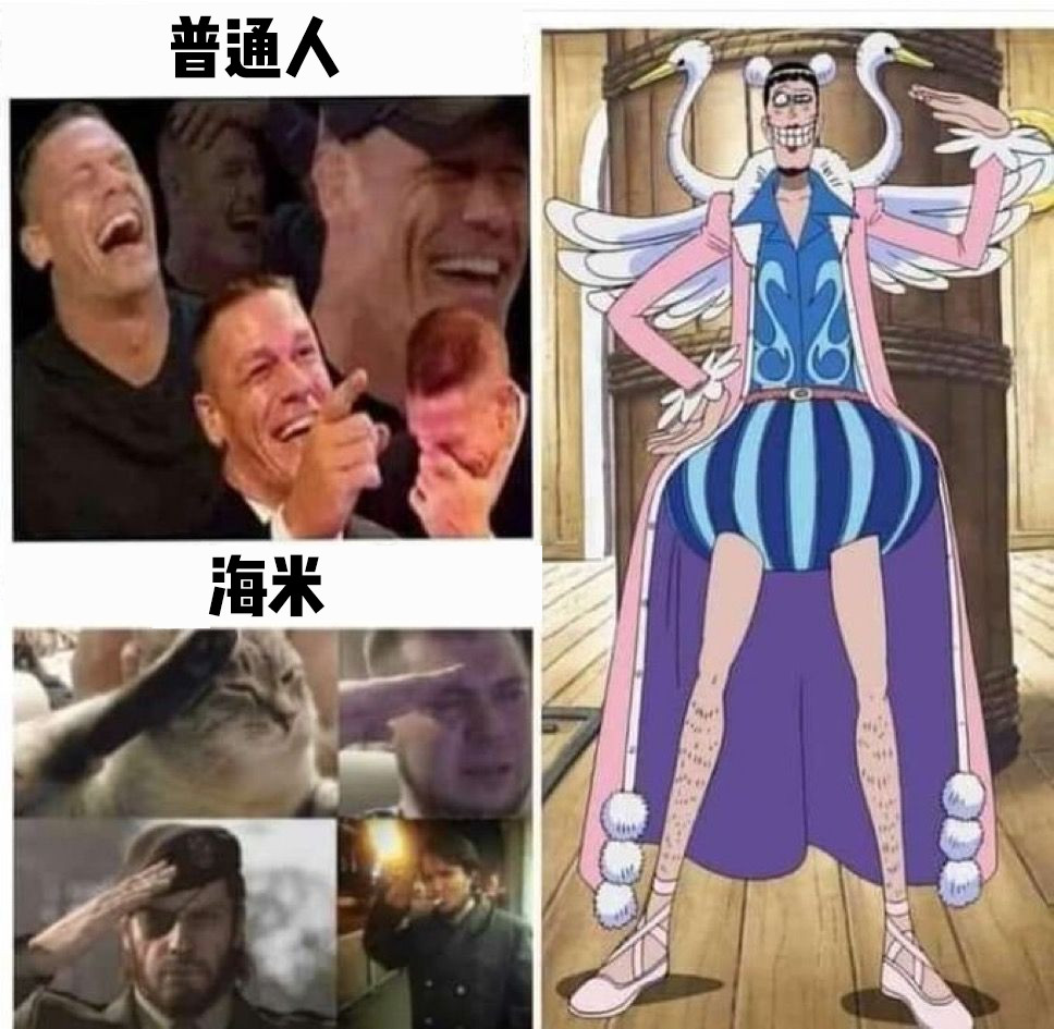 海贼王海贼王是的是这样的