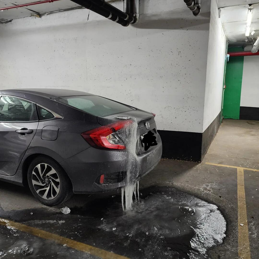 冰：放心，这个车位我帮你占着