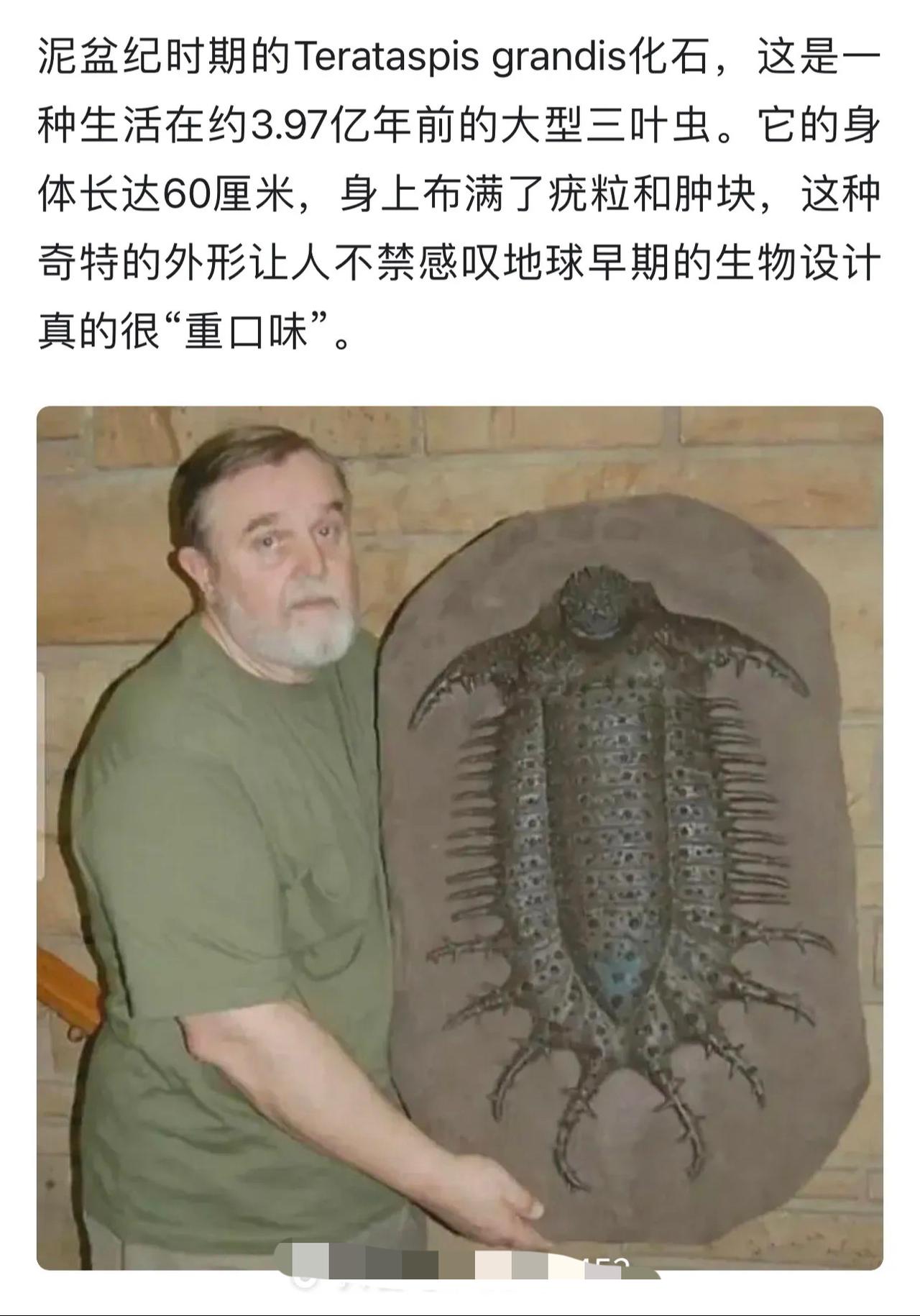 一位大叔展示远古三叶虫化石。