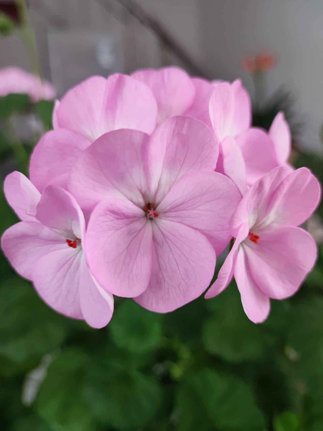 发现人这玩意不但喜欢随波逐流，还挺能装的！天天说什么远离人群才是最清醒的人，