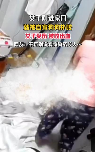 “防不胜防！”9月23日，江苏，一女子刚进家门，就被自己心爱的宠物狗扑上来咬伤，