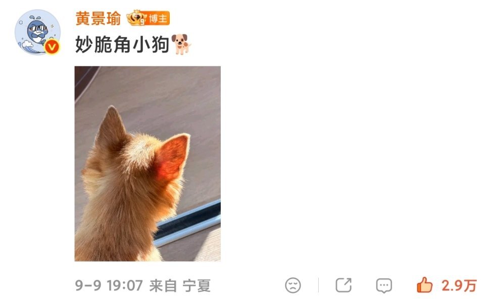 #黄景瑜#妙脆角小狗🐕#黄景瑜有好朋狗了#​