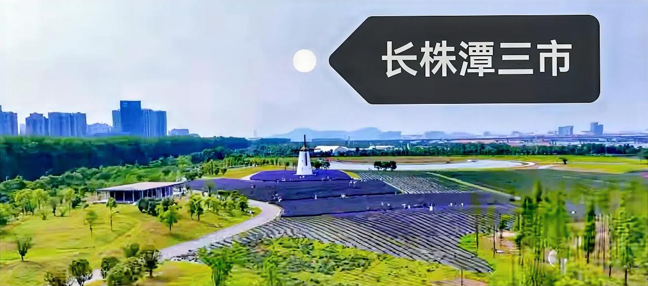 关于长株潭三市，我个人觉得光一个长沙修地铁，真的意义不大，只有长株潭三市加起来才