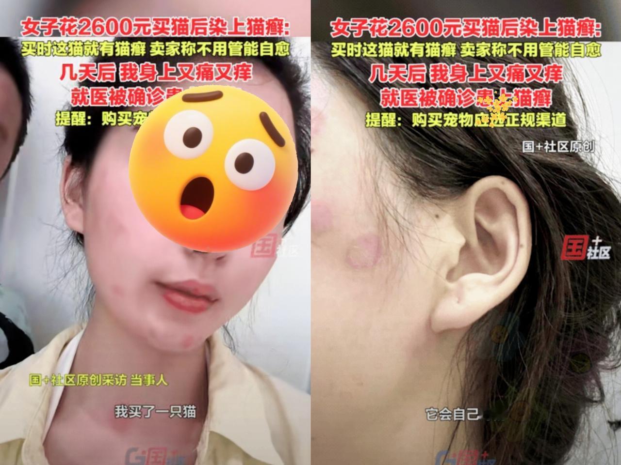 没想到花2600块买猫，没享几天撸猫快乐，反倒把自己坑到不敢出门!浙江