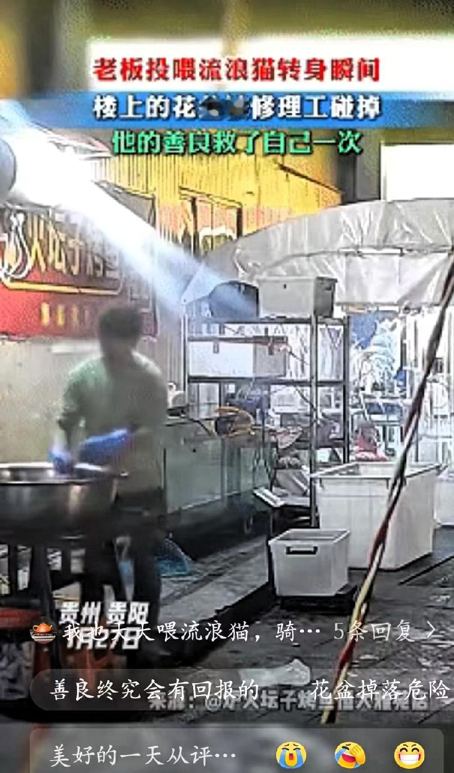 善良救了自己一命，近日贵州贵阳，男子正在摊位上烤鱼，发现一只流浪猫饿得肚子瘪瘪，