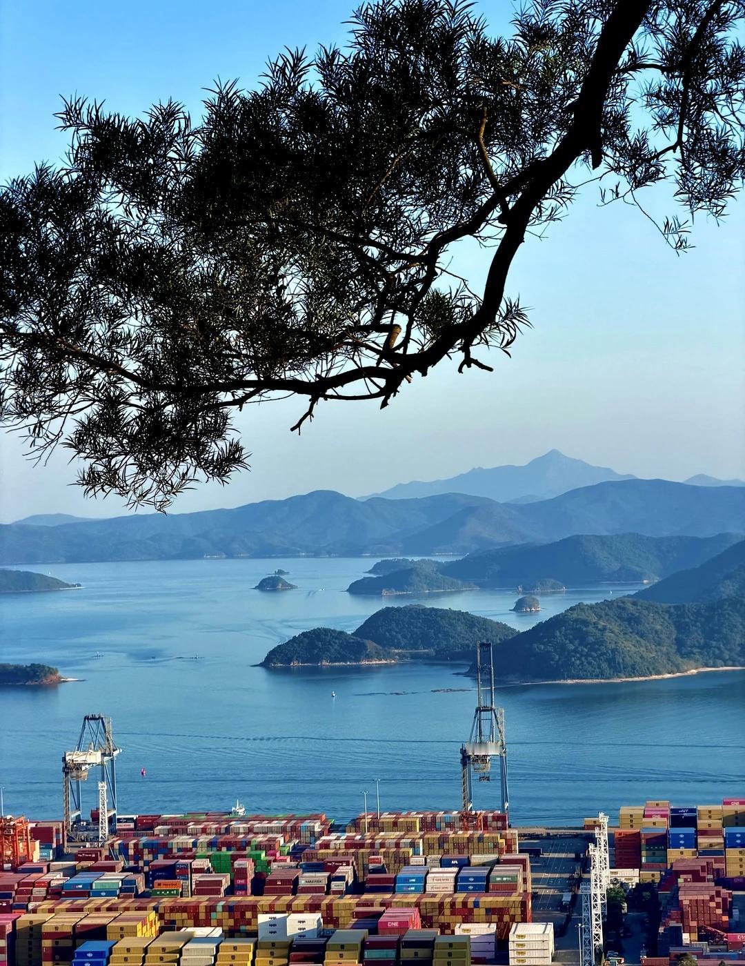 深圳新人友好徒步路线🌳我只推荐这里………“在上班和上进之间我选择了上山⛰️”