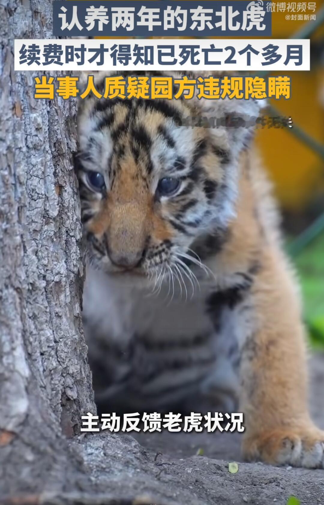 这事儿听着就让人来气。黑龙江一位李女士，花两千块钱在网上认养了一只叫“小独苗”的