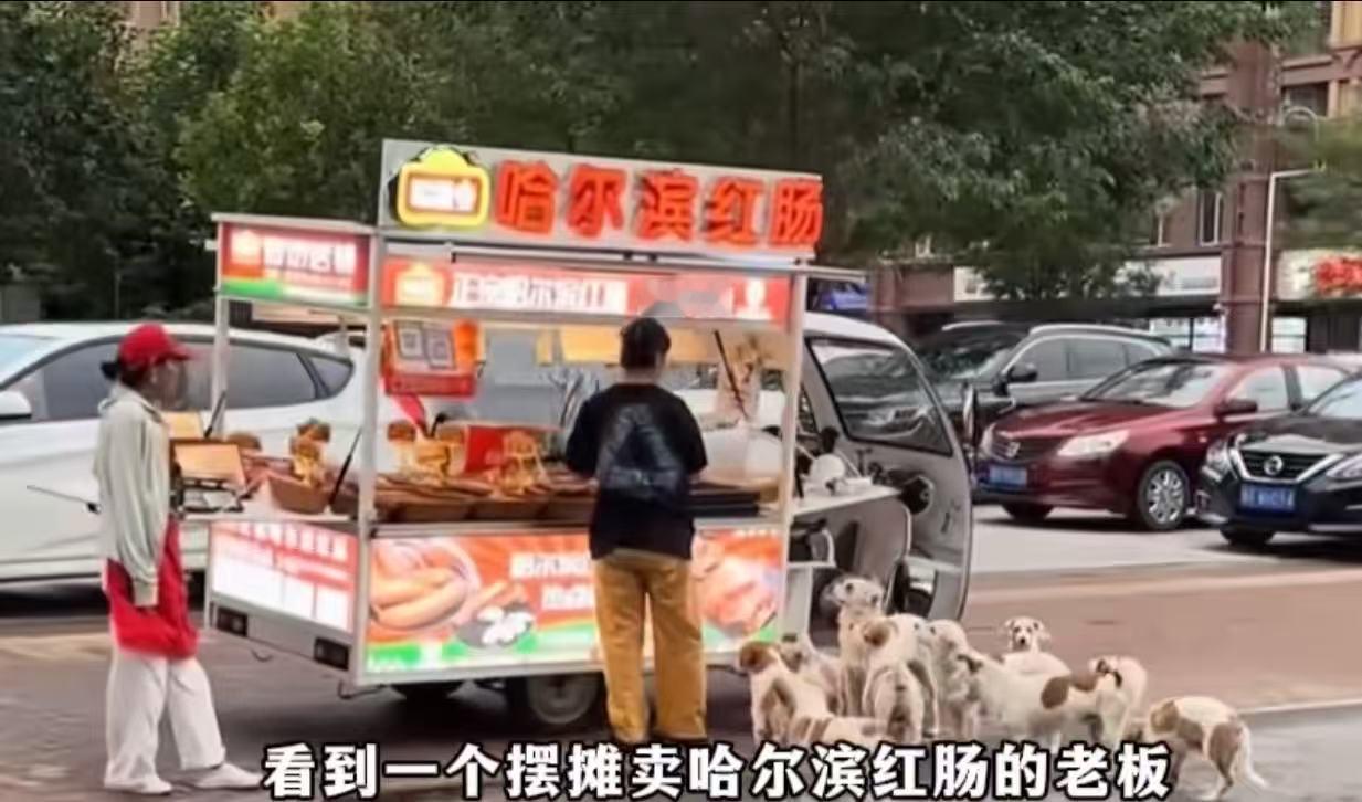 9月16日发布，一个美女摆摊卖哈尔滨红肠，随手喂了流浪狗一口，结果一狗传