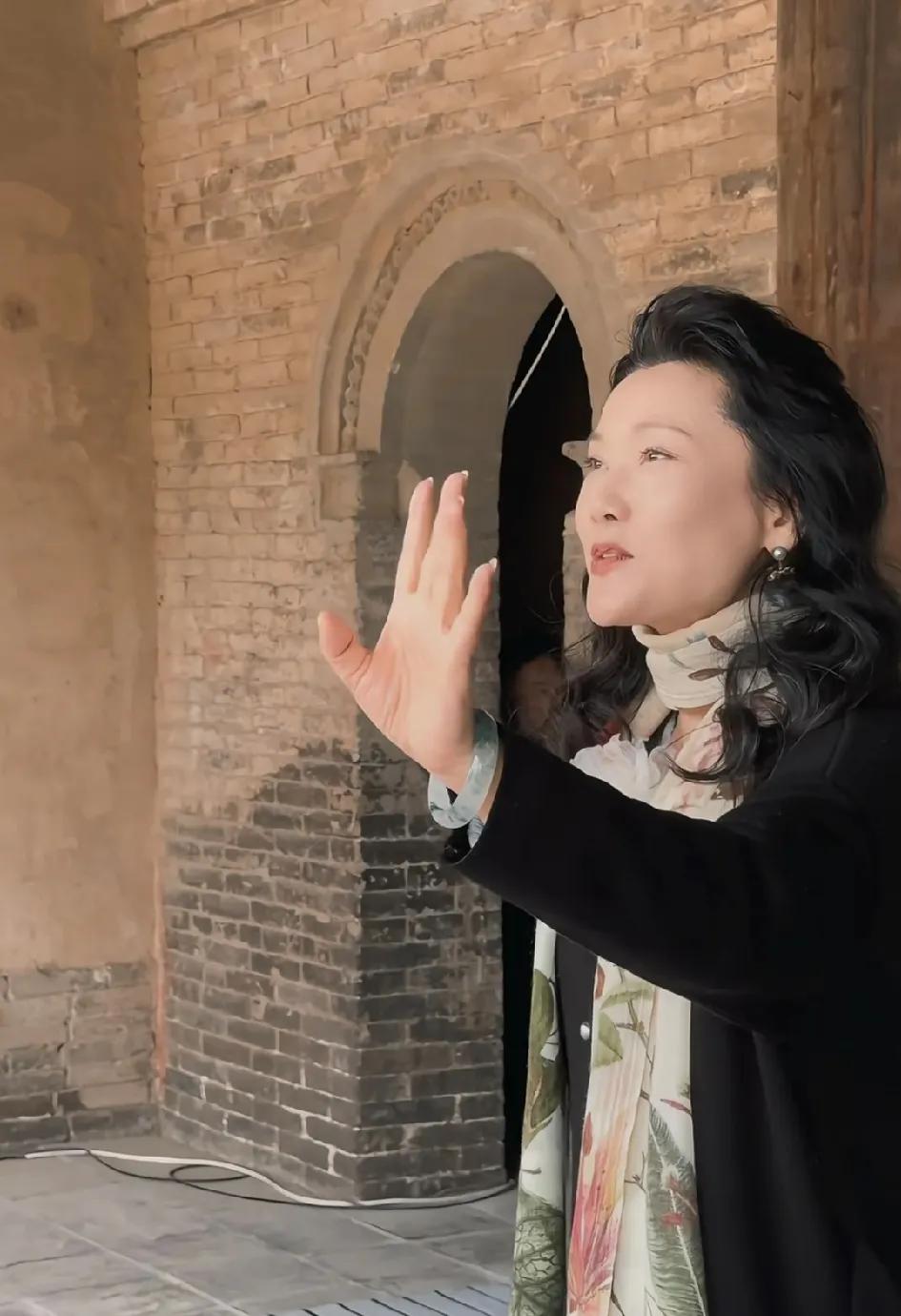 何赛飞就是江浙女生，优雅老去的样。她出生浙江舟山，定居杭州，拜著名书画家都本基