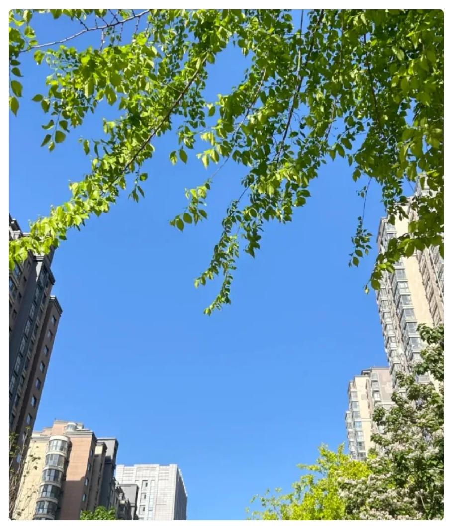我真的崩溃了，昨晚躲在厕所里放声大哭了一场。40岁，大概就是人生最尴尬也最疲
