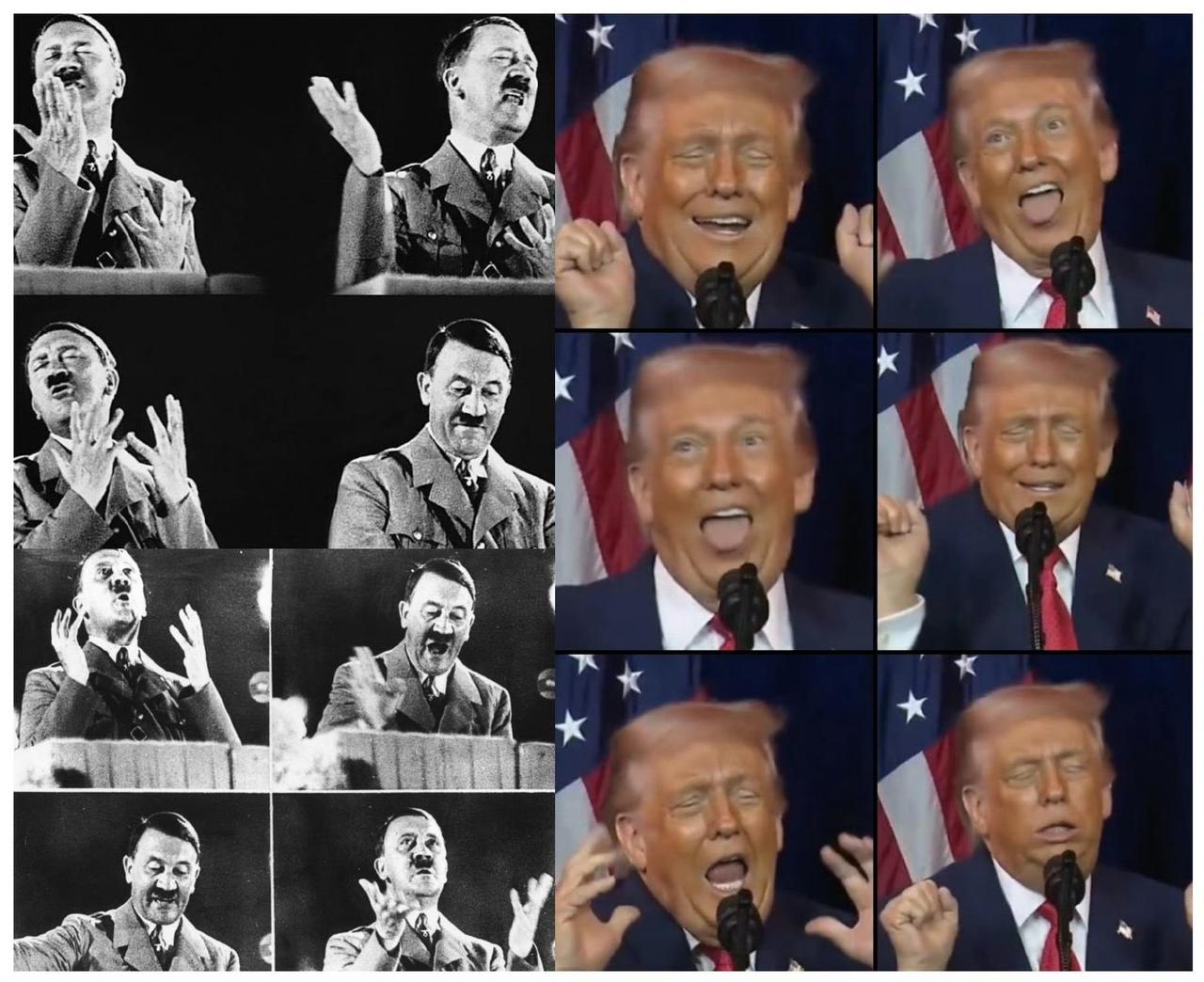 你可能不信，美国正在加速第三帝国化，特朗普正在成为第三帝国元首的路上。对美国