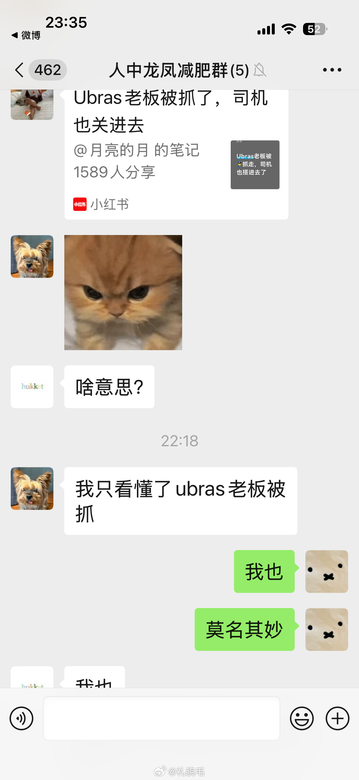 老年人看八卦就这样​​​