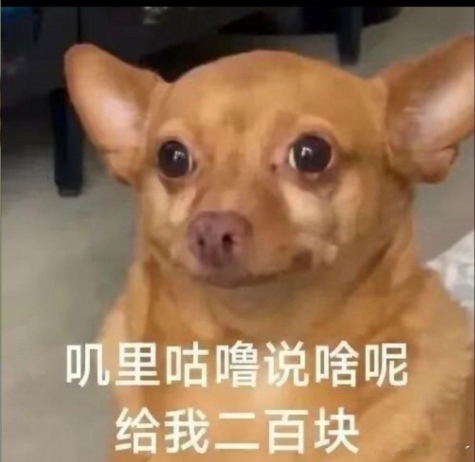 每日表情包分享。一人安利一部动漫动漫点评团