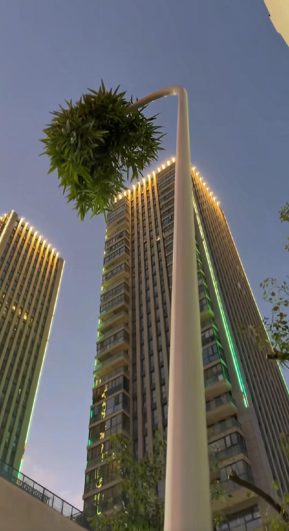 考编的，考公的，考研的注意啦，这是不是2026年现成的题目！浙江有根竹子，不