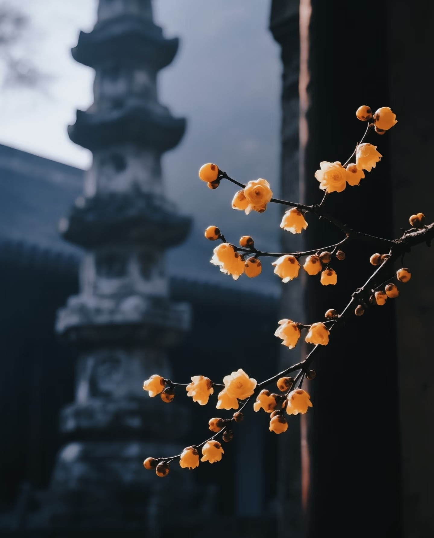 一位情感专家说：“婚外情最好的结局是，在另一半还不知情的情况下，赶紧断掉关系，这样你的余生还有可能风