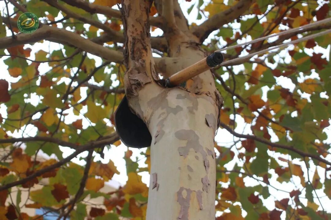 我军万能武器——工兵锹自红军时期起便是单兵多功能装备，从土工作业到白刃格斗，在战