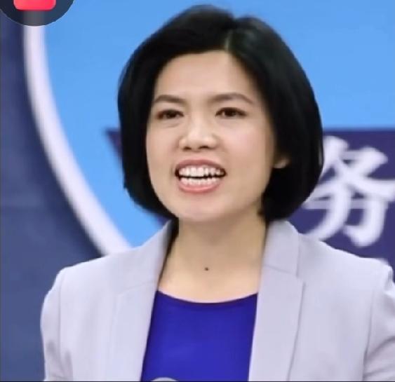 两岸统一的舆论战风向变了！各方立场都跟着调整，连美国专家都劝台湾别再瞎折腾！