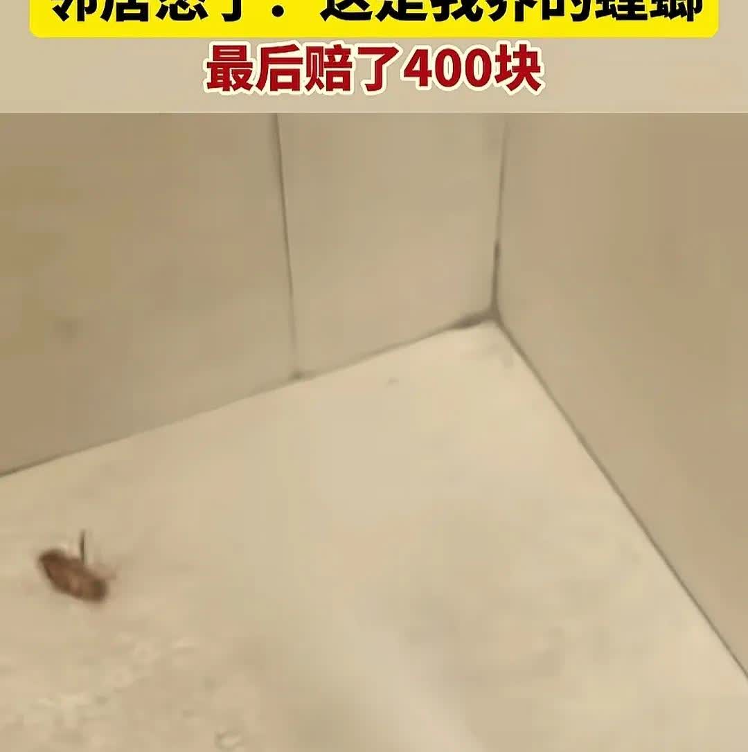 真是活久见星爷的电影照进了现实竟然真有人把蟑螂当宠物一男子用杀虫剂喷