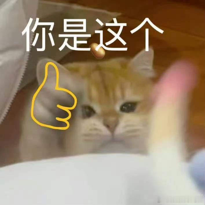 但凡女儿有个幼儿园文凭这段亲子对话太有梗，女儿天真的回答直击笑点，脑洞不受限制