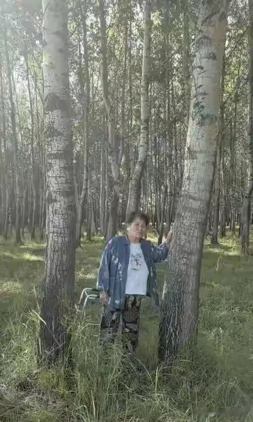黑龙江齐齐哈尔，71岁女子在23年，被村委动员将360亩退耕还林，合同期为25年