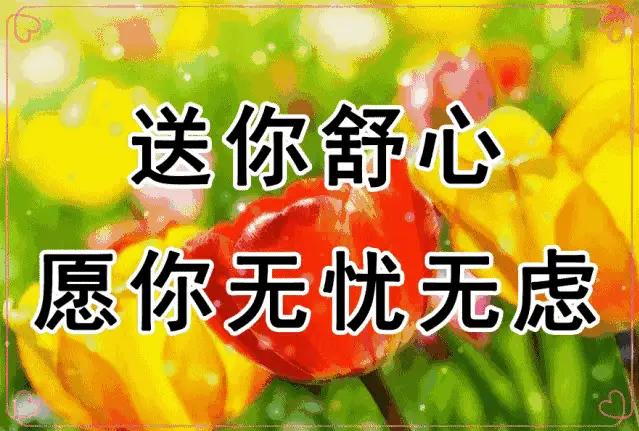 养花确实能让人开心，日子也跟着舒心起来。我在阳台养了几盆花，就像拥有了一个小小的