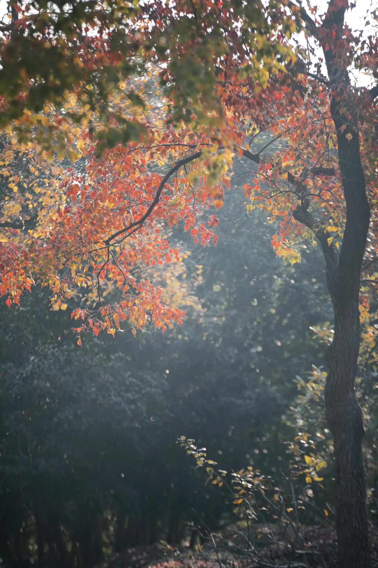 昨天看到一位家长在吐槽，说自己每天接送孩子很辛苦，每天的工作也很辛苦，孩子上了高