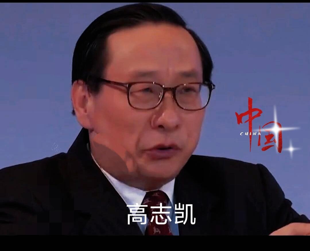 我跟你讲，刷到高志凯在BBC上的视频，我直接喊出“好家伙”！当着全世界的面，他